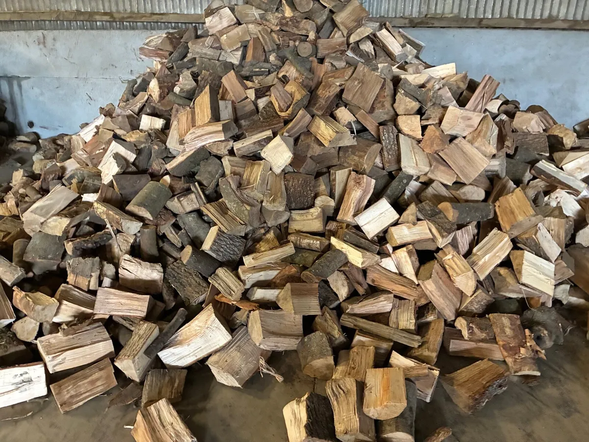 Hardwood firewood - Image 1
