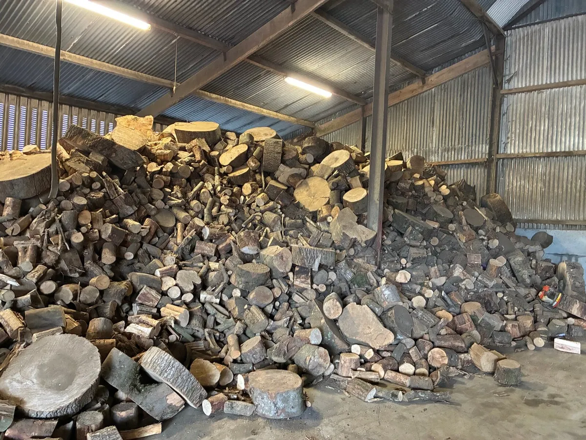 Hardwood firewood - Image 3