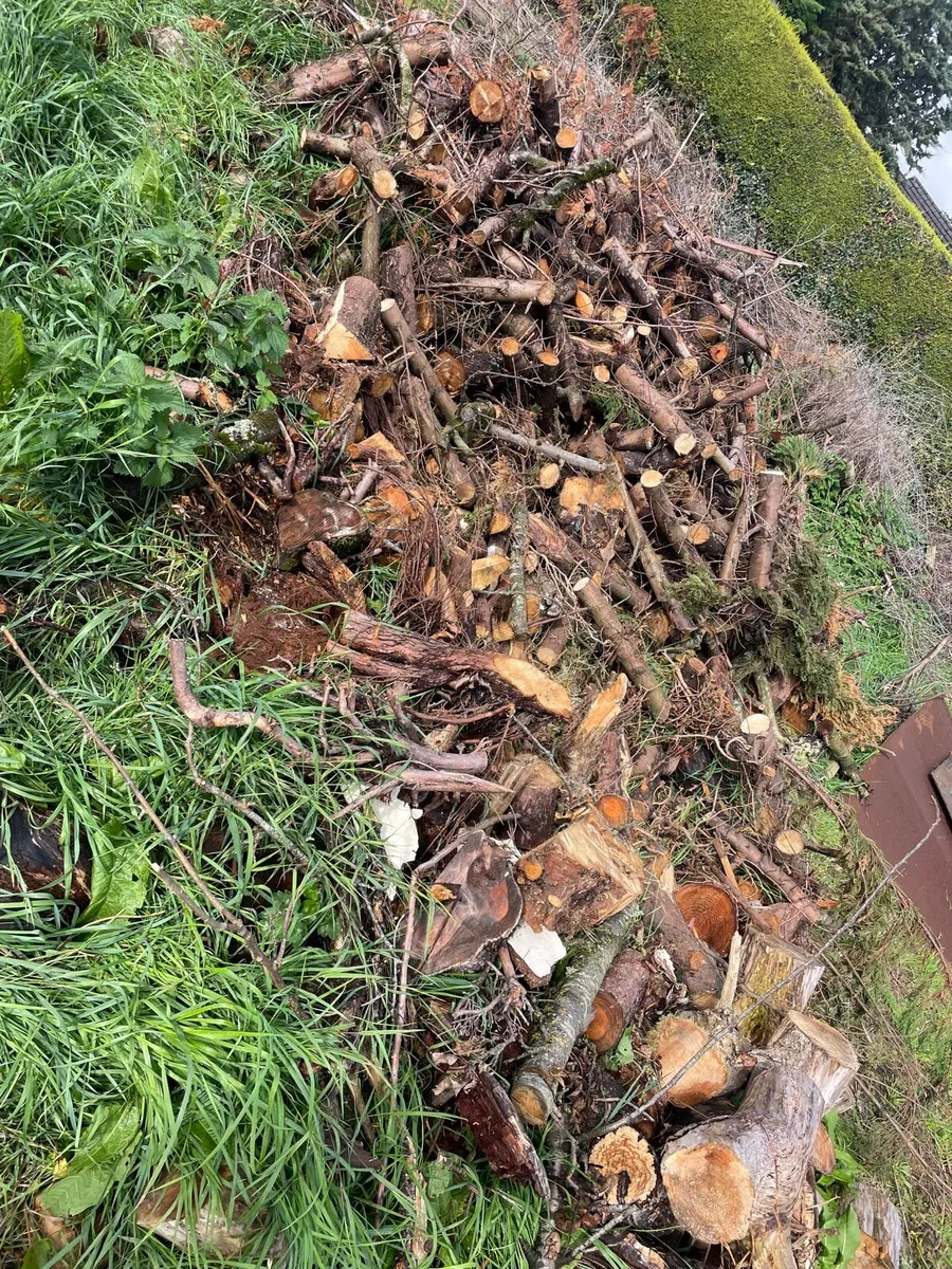 Free wood