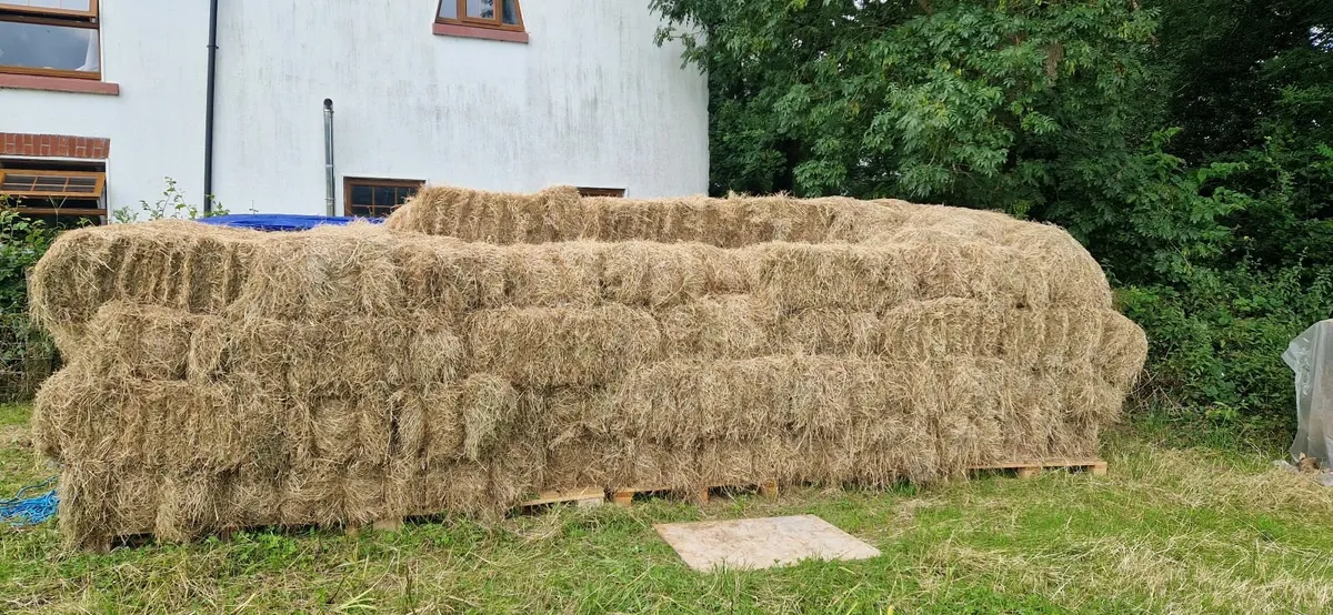 Hay Square 140 Bales For Sale, East Clare