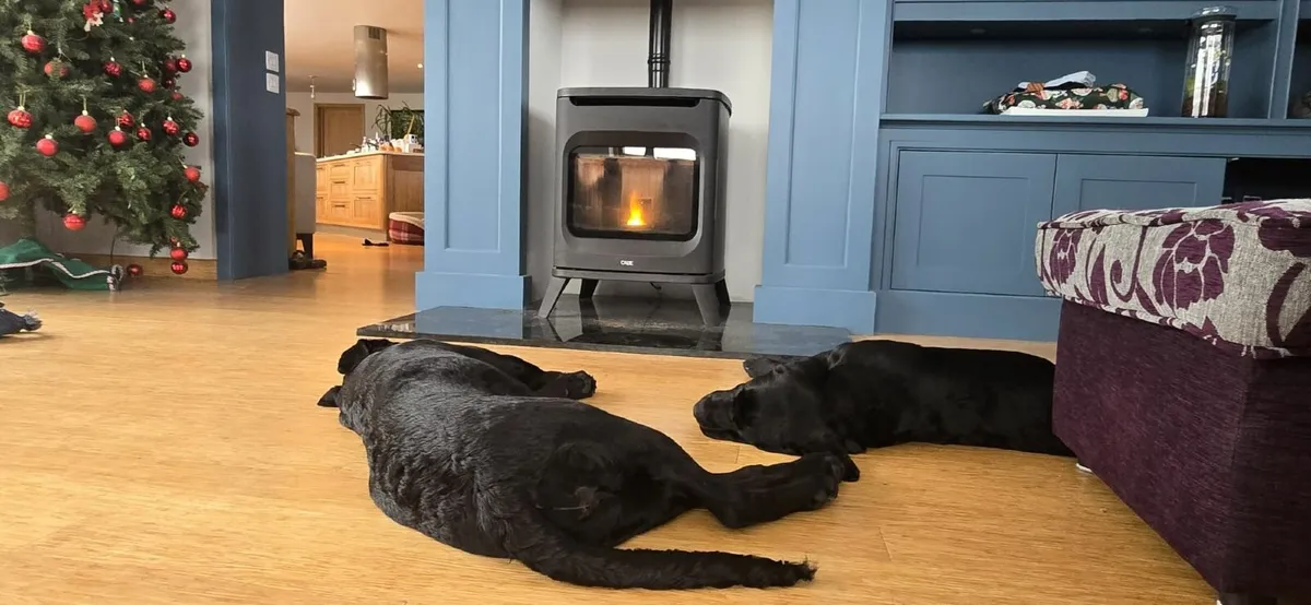 Cadel Hublot 6kW wood pellet stove - Image 2