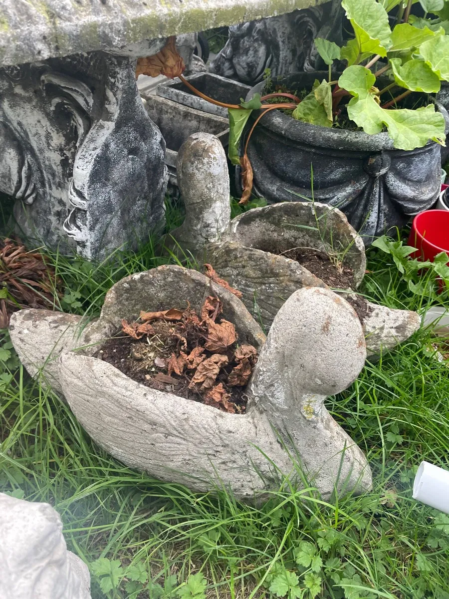 2 concrete swans - Image 1