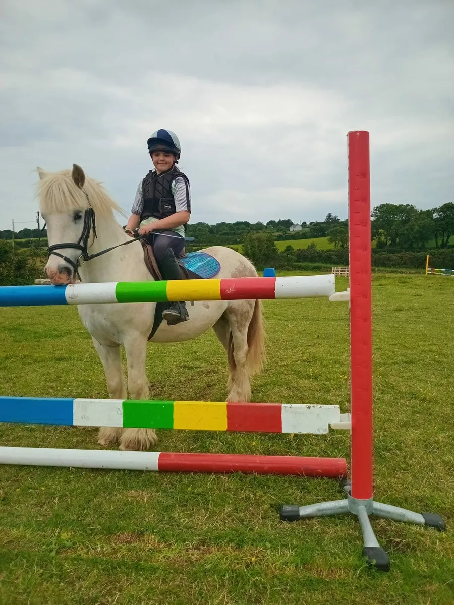 Ponys - Image 2