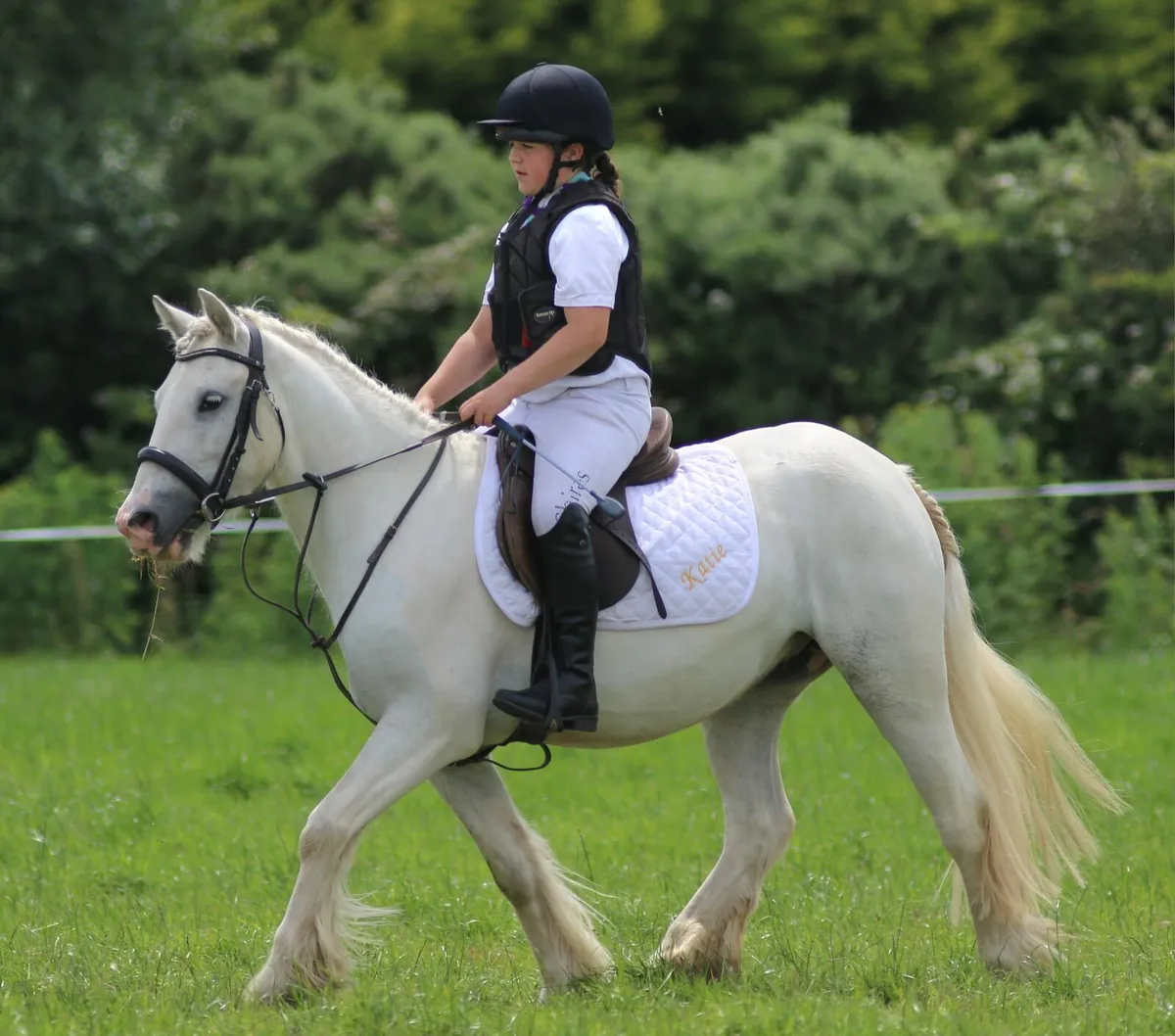 Ponys - Image 1