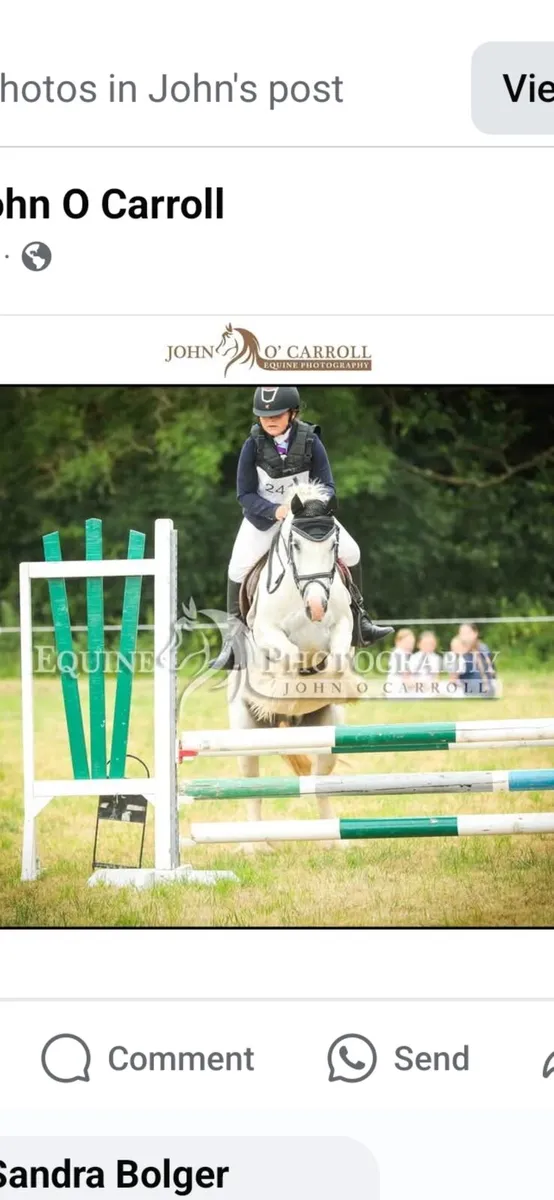 Ponys - Image 3