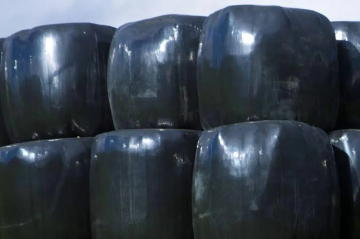 Bales
