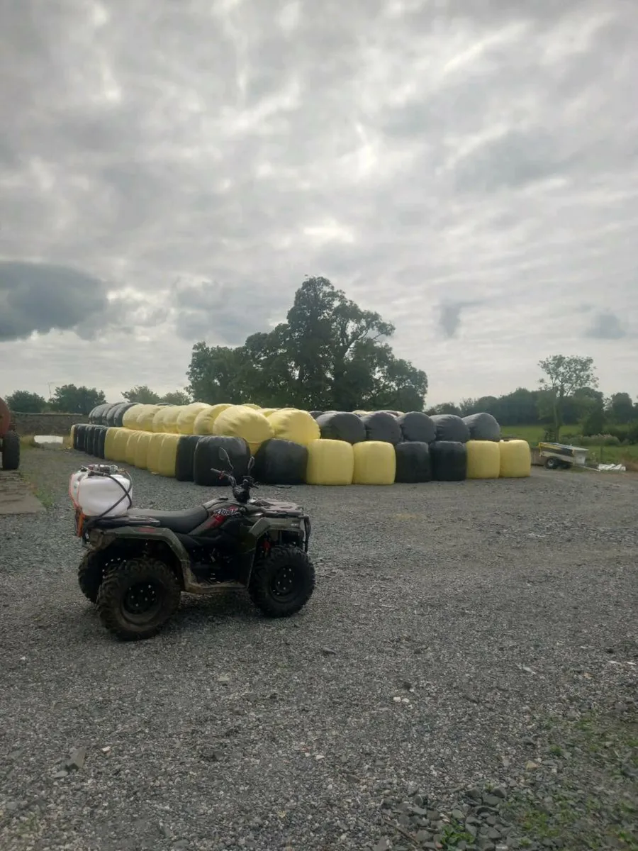 Silage - Image 1