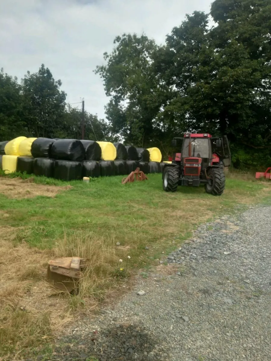 Silage - Image 2