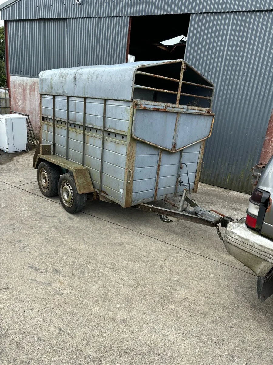 2 cow trailer - Image 1