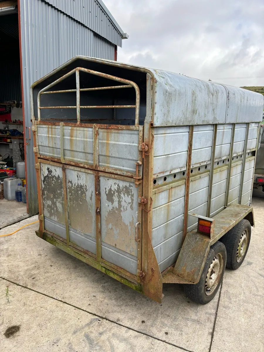 2 cow trailer - Image 2
