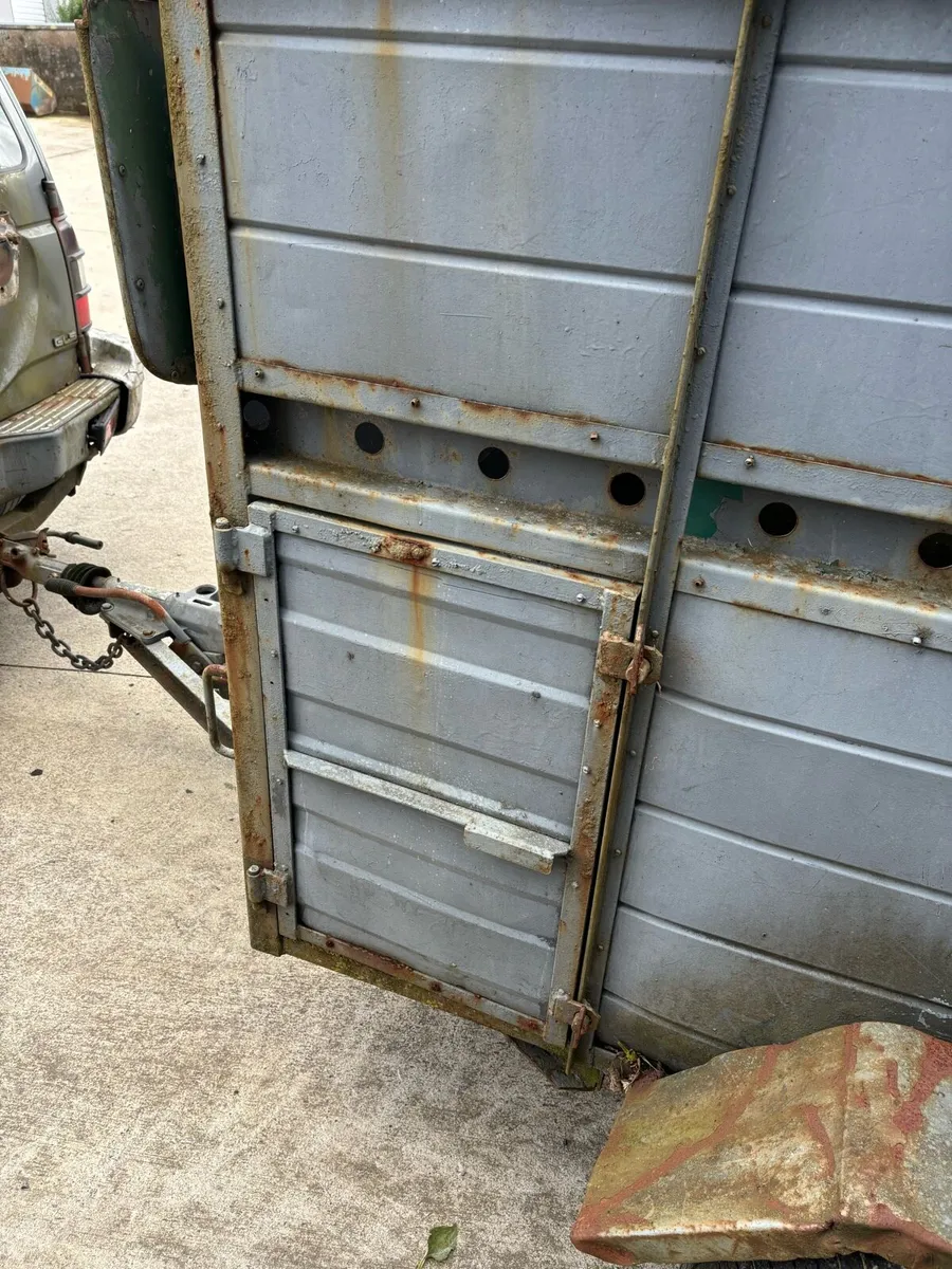 2 cow trailer - Image 3
