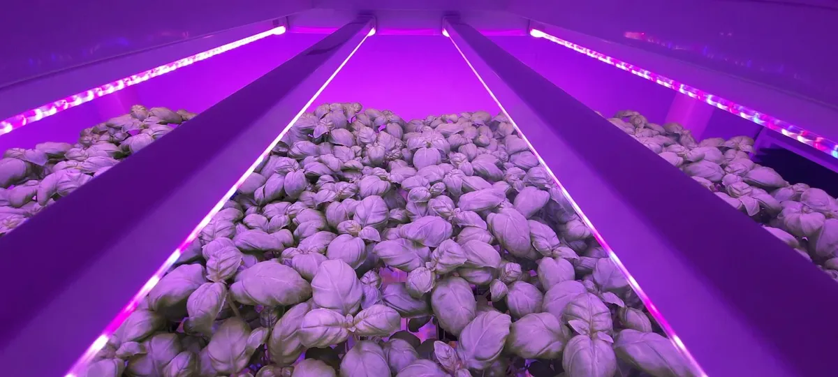 Indoor Growing - Hydroponics Module - Image 1