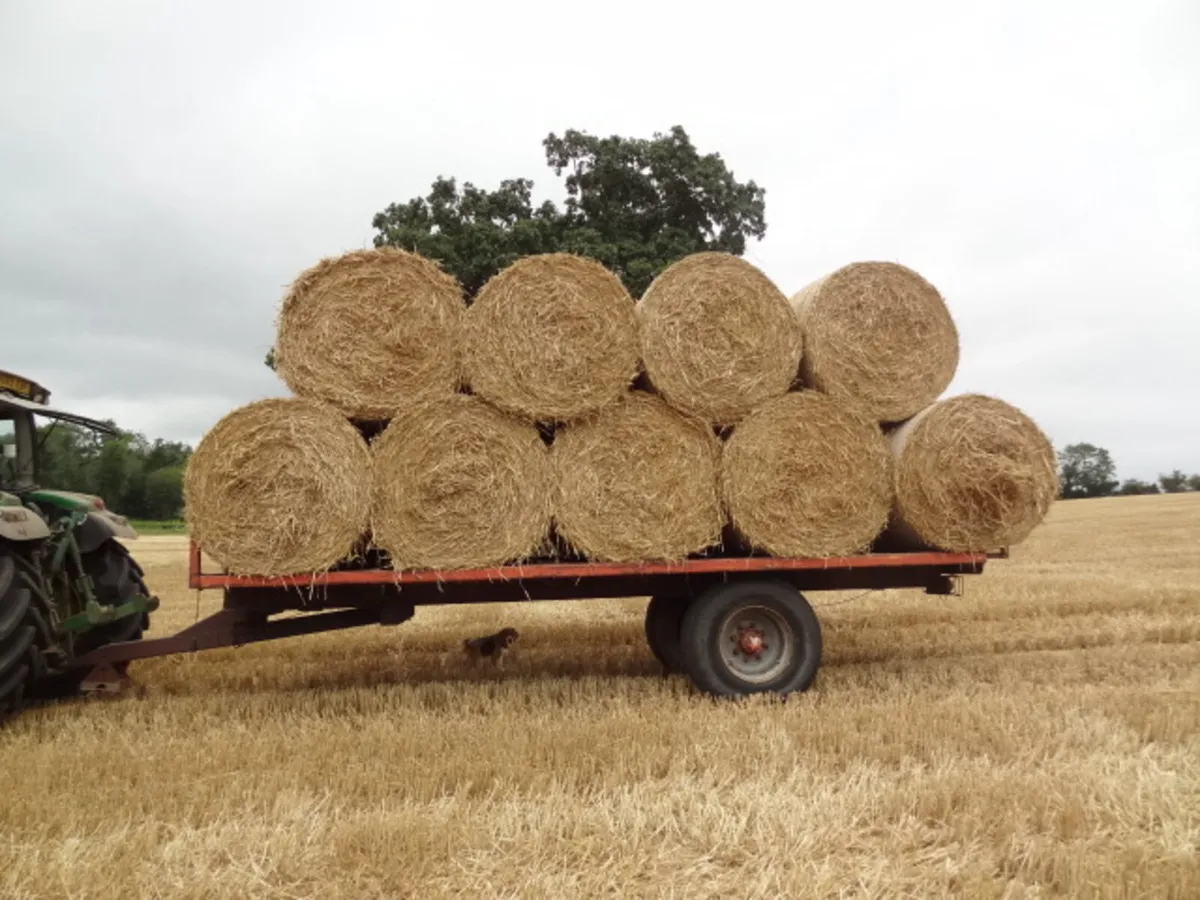 20FT Flat Bale Trailer - Image 2