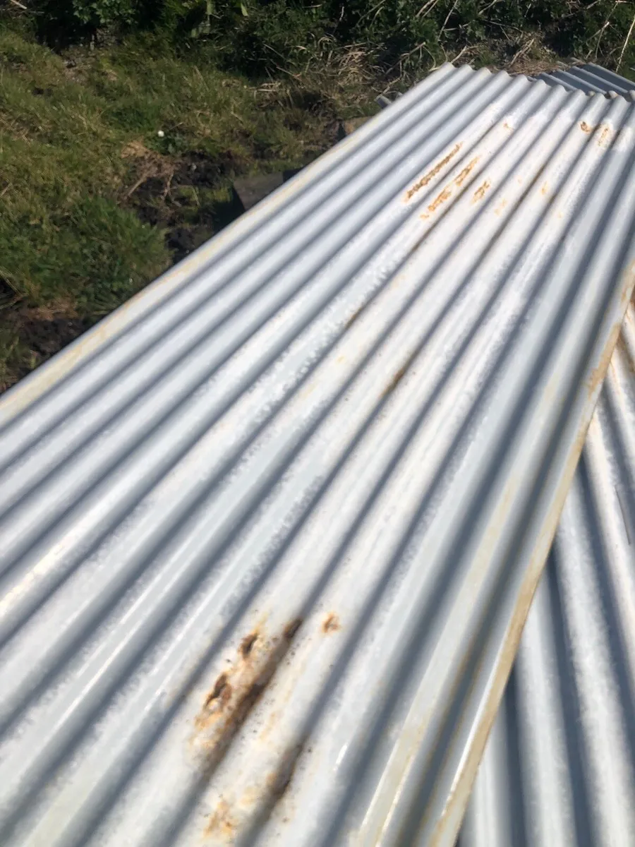 Cattle trailer. 10x6 - Image 3