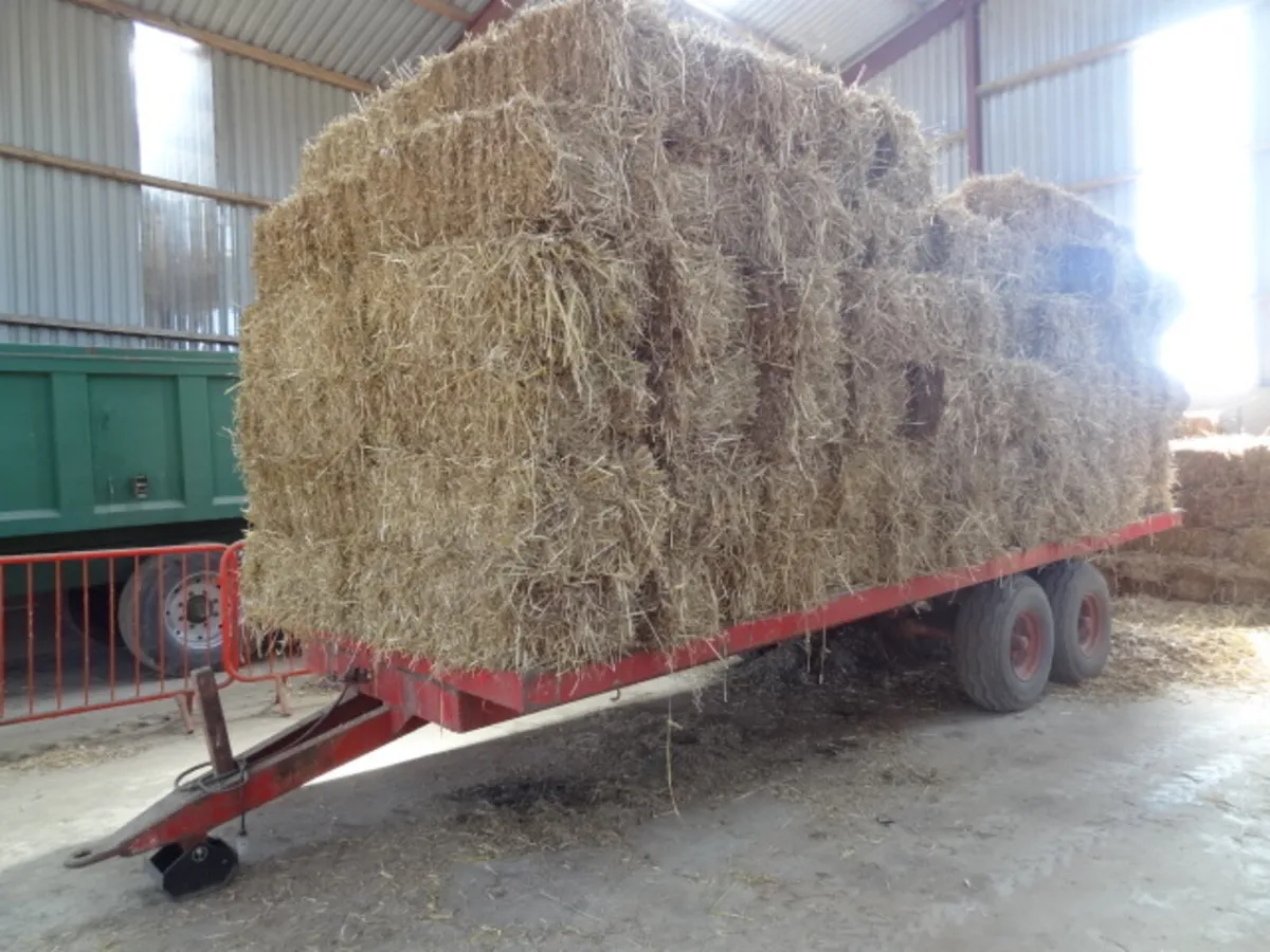 Flat Bale Trailer - Image 1