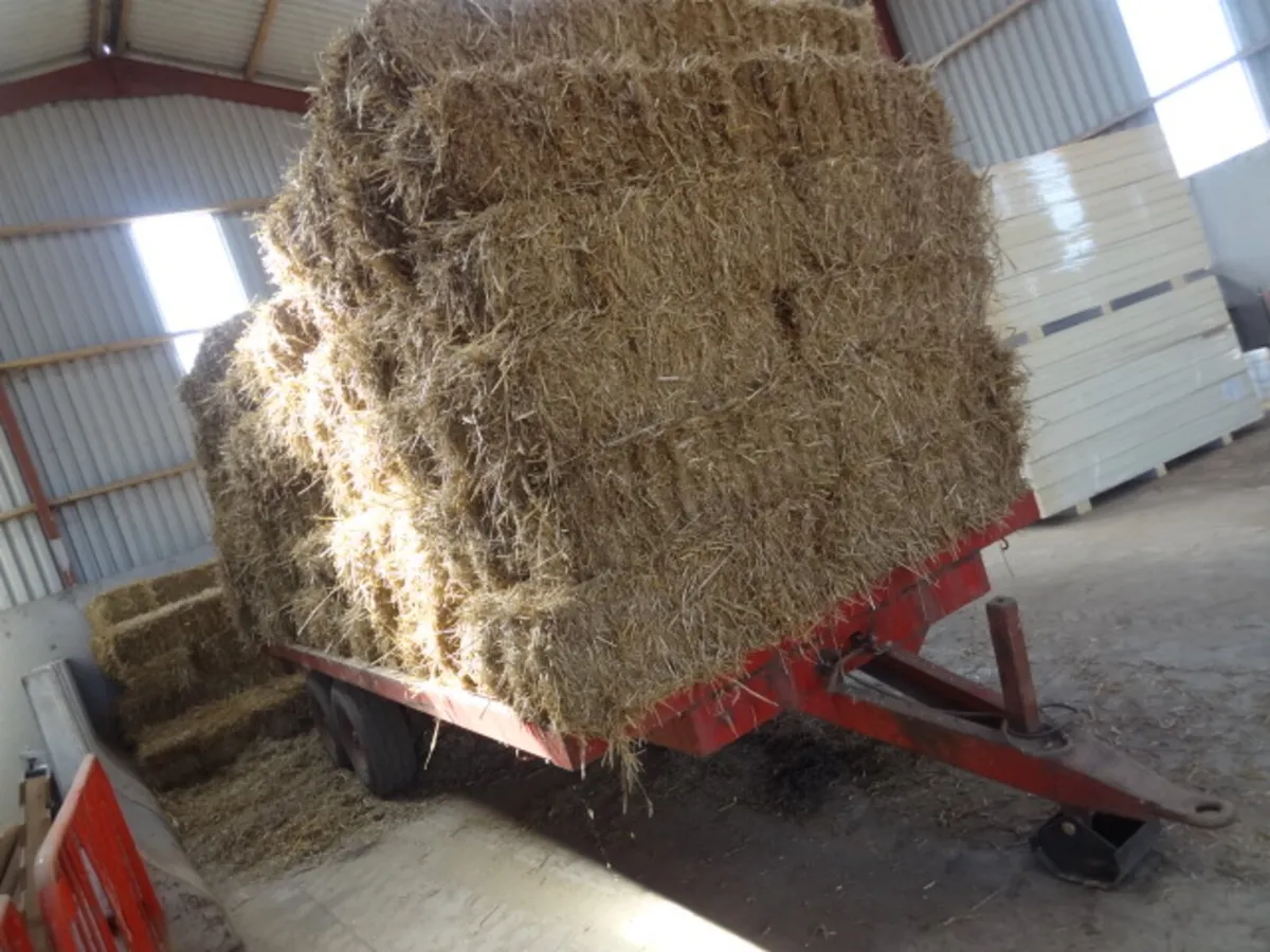 Flat Bale Trailer - Image 2