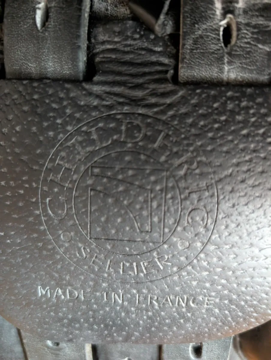 Childéric Saddle - Image 2