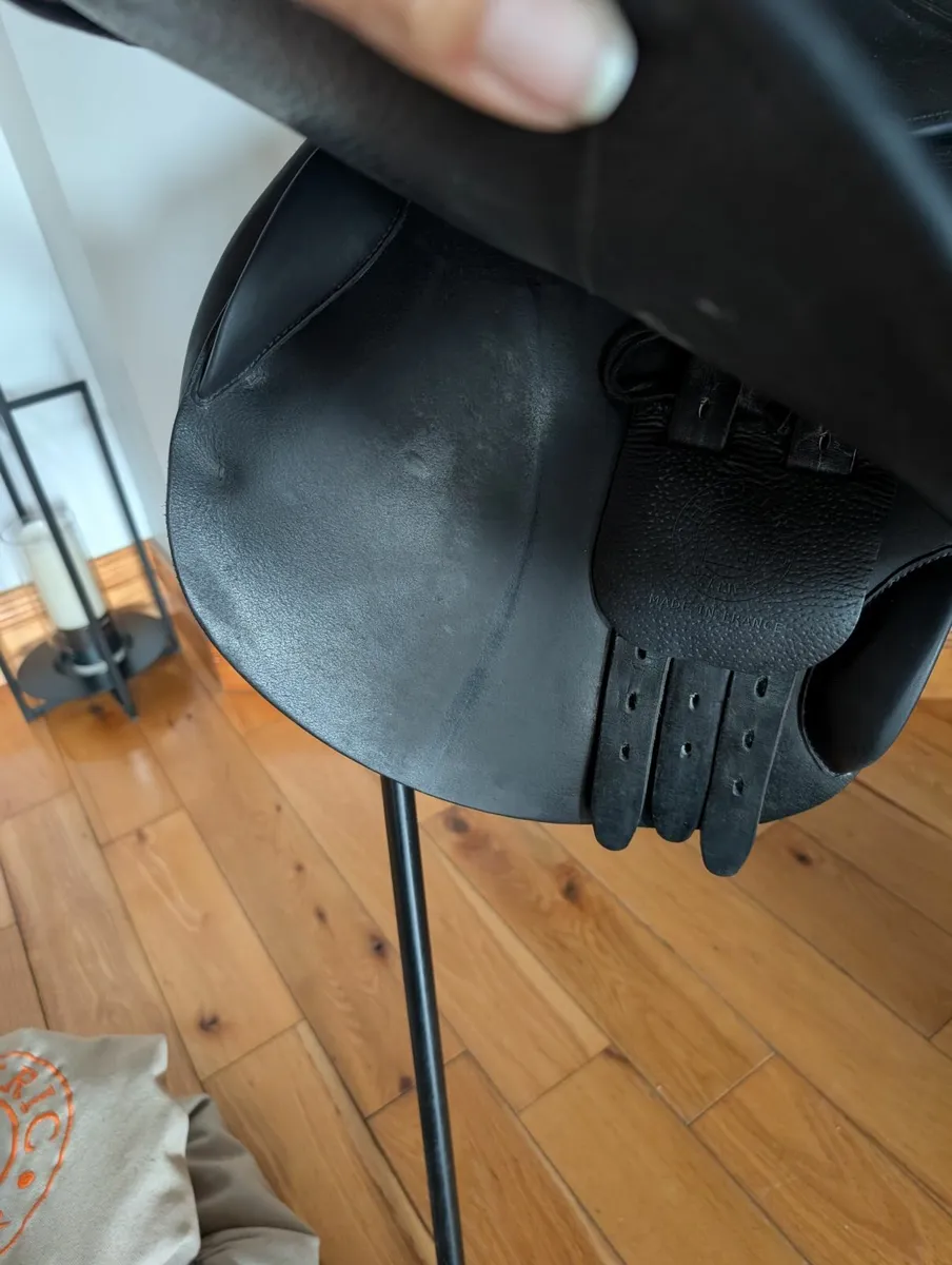 Childéric Saddle - Image 3