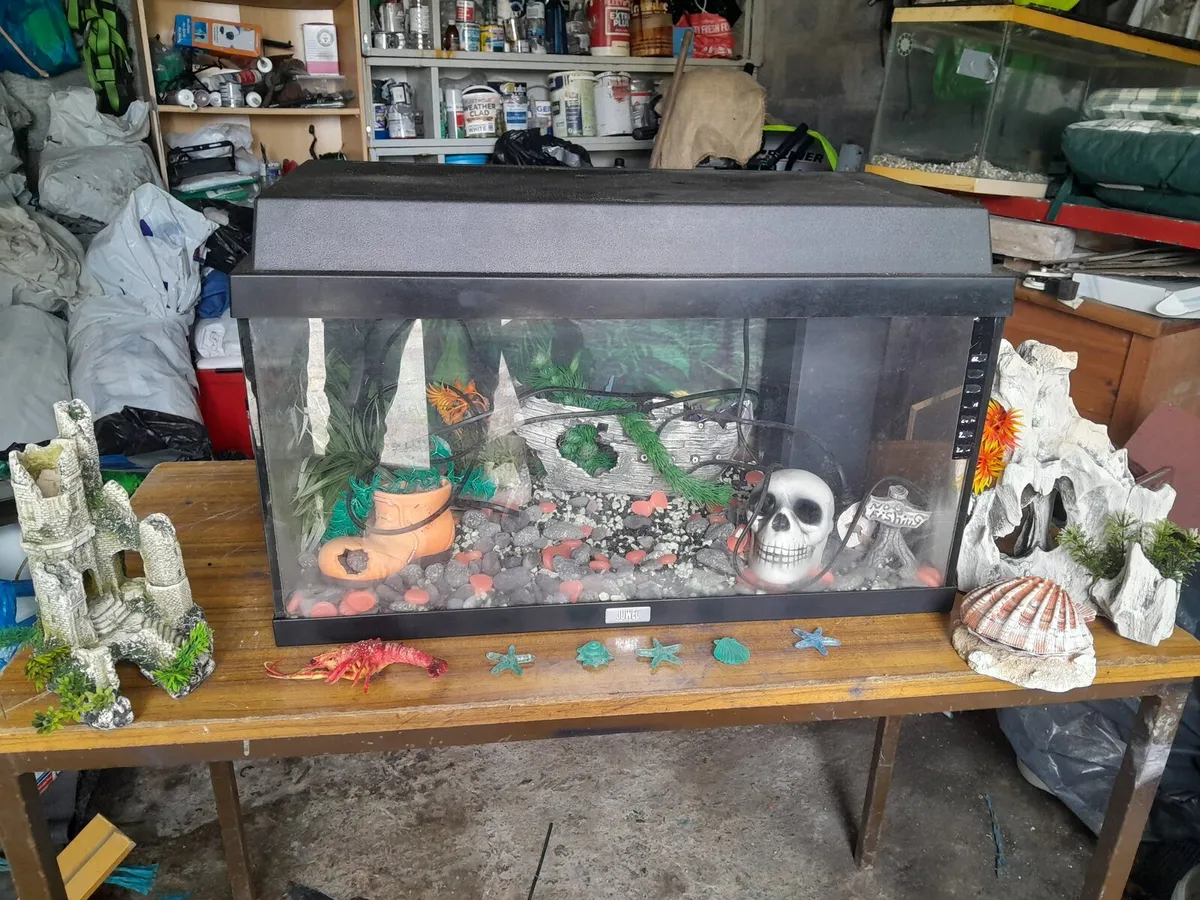 Aquarium - Image 1