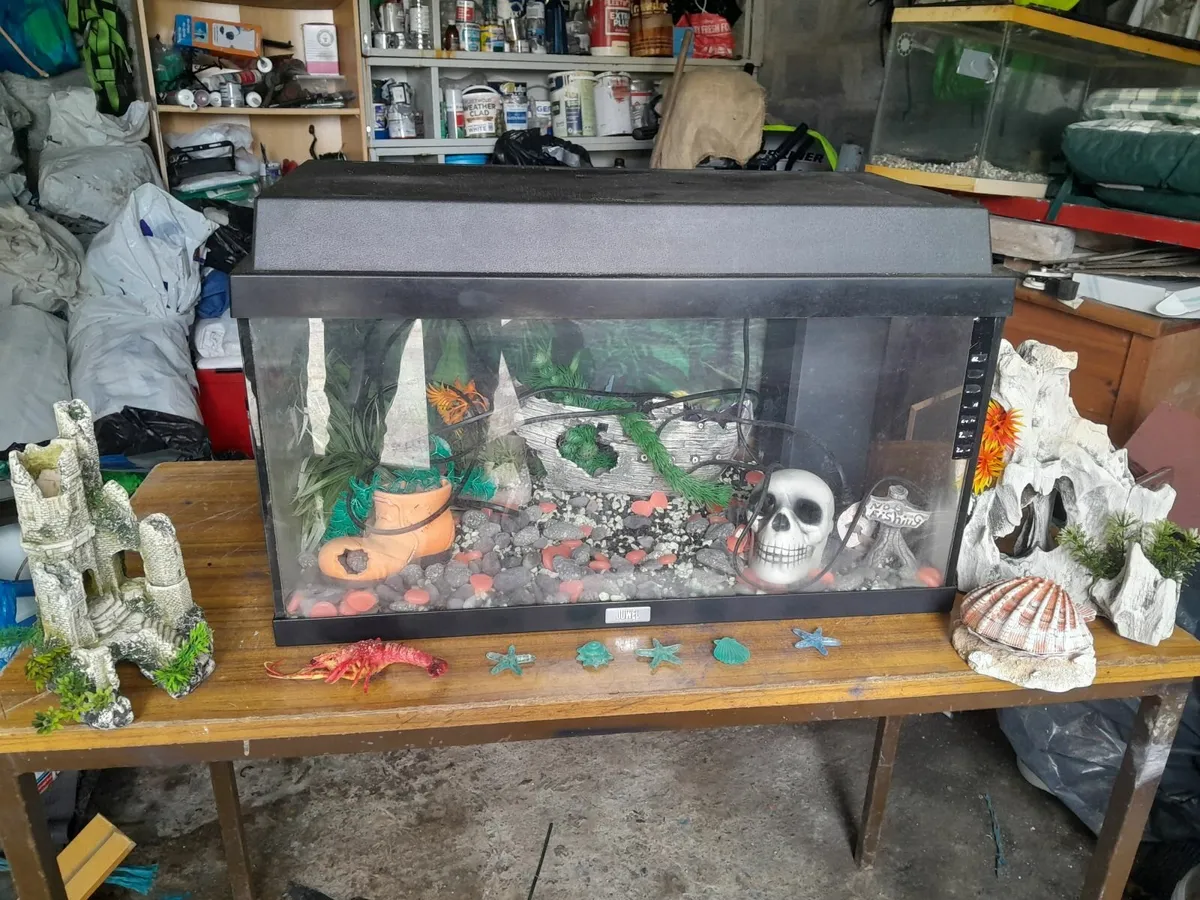 Aquarium - Image 3