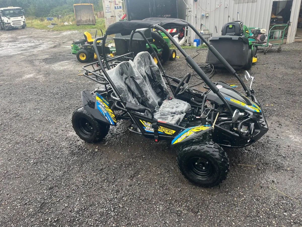 Buggy - Image 3