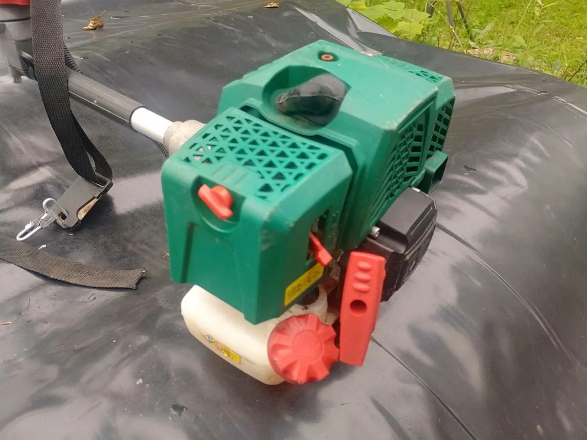 Strimmer 13e postage - Image 2