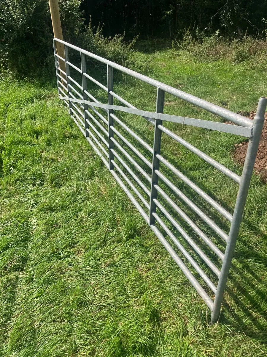 Field gate 17ft