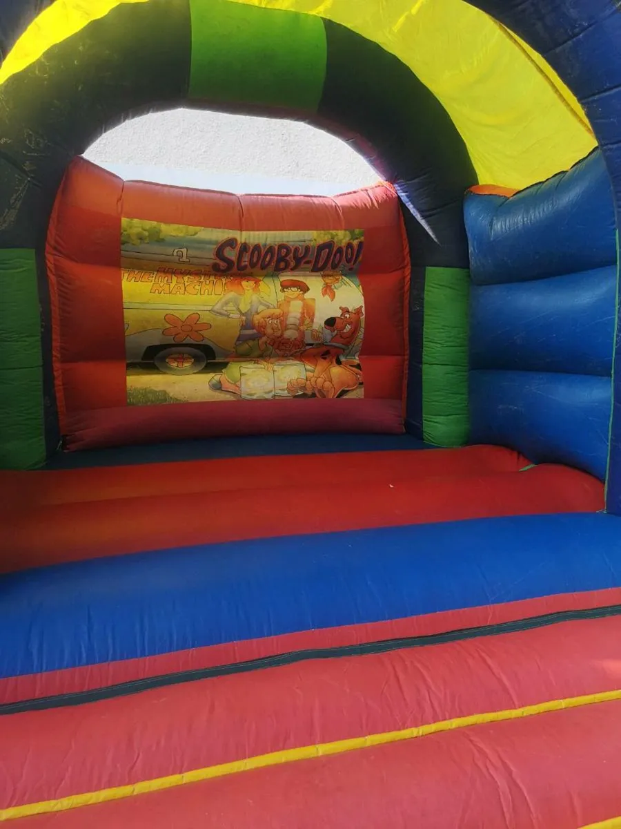 Bouncy castle large - Image 1
