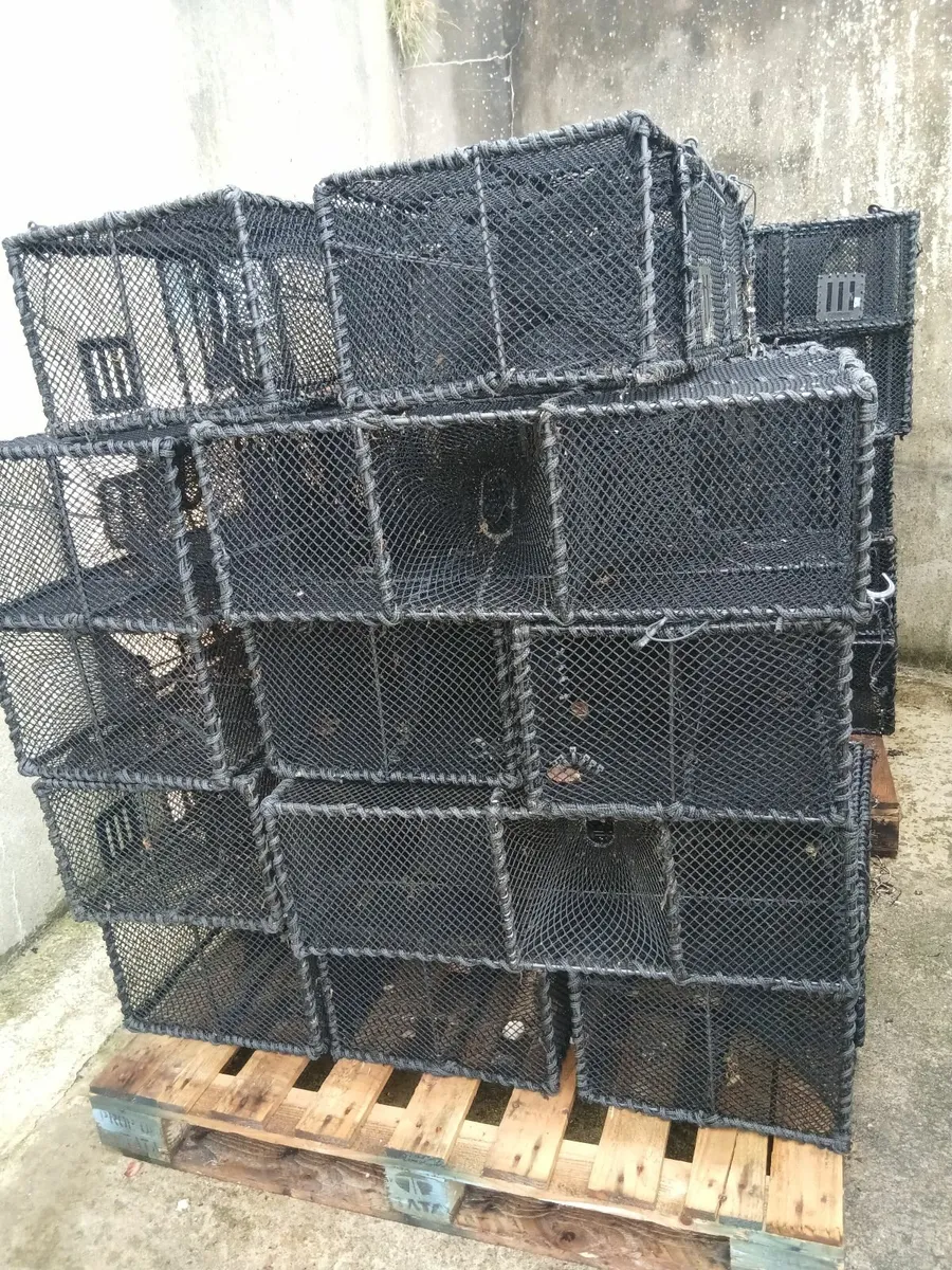 Wrasse pots - Image 1