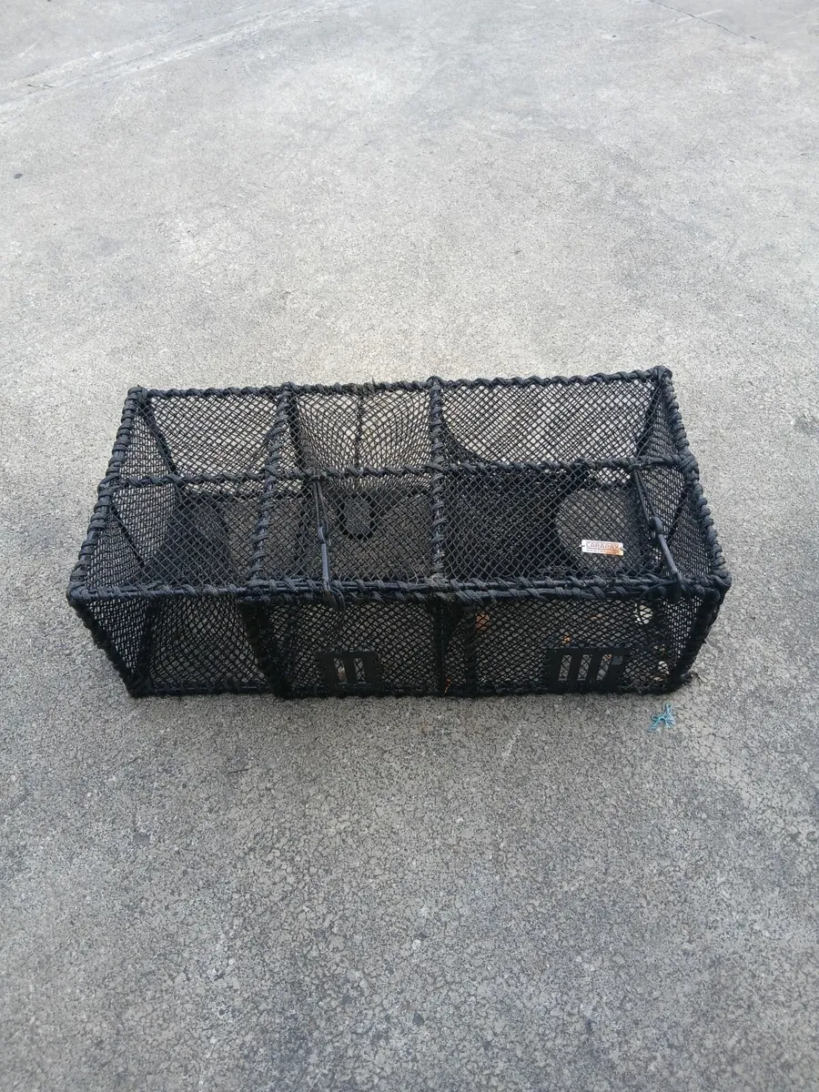 Wrasse pots - Image 3