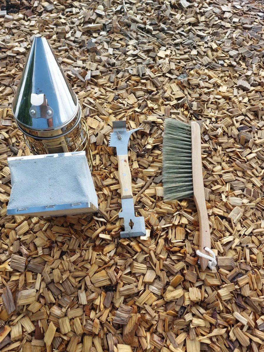 Bees, bee hives and other supplies - Image 3