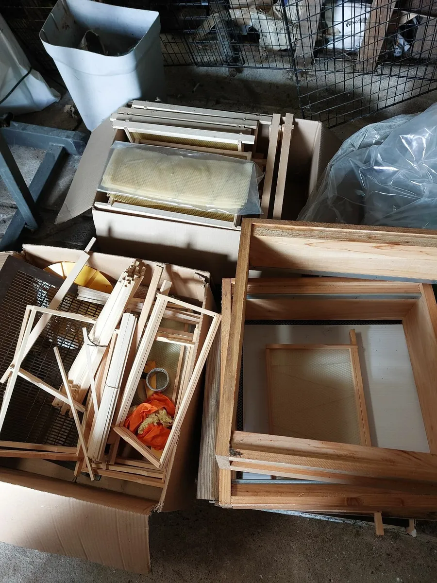 Bees, bee hives and other supplies - Image 2