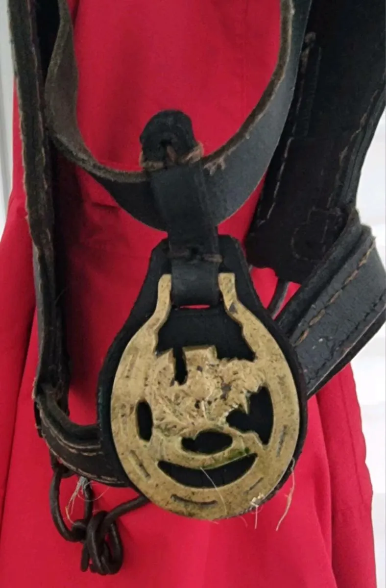 Vintage Donkey Bridle with brass work - Image 1