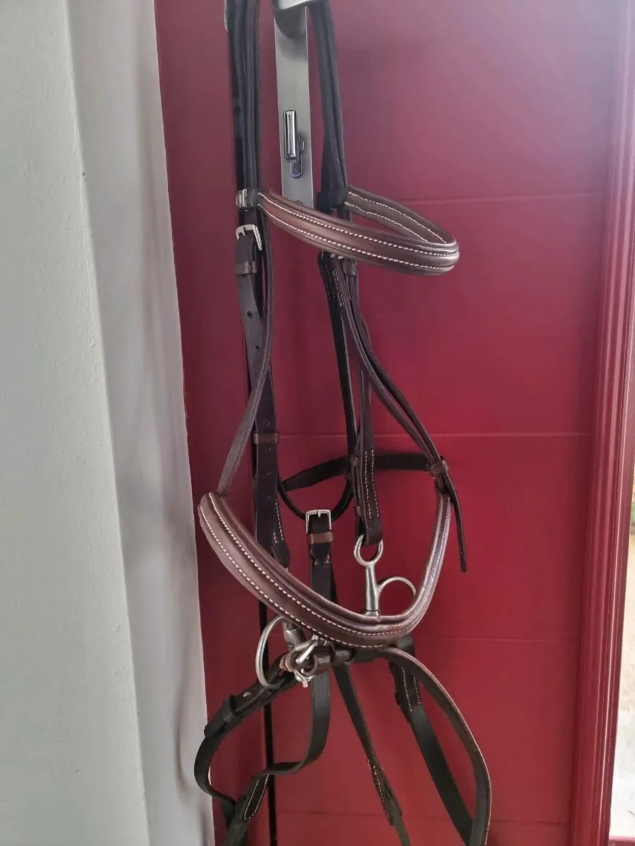 Stubben bridle rare red leather - Image 1