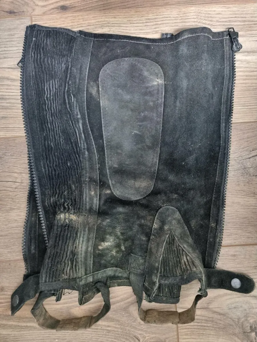 Job lot or separate sale Equestrian items - Image 1