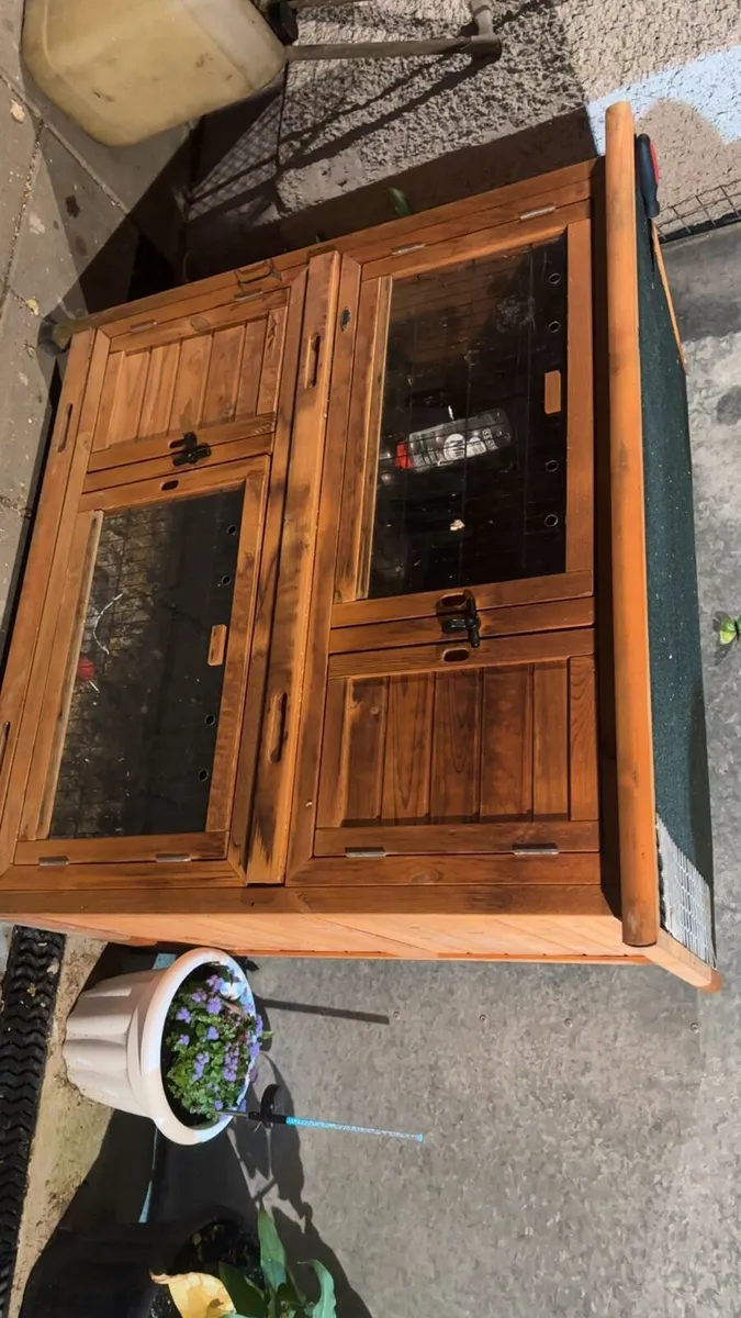 Ferret and hutch’s - Image 1
