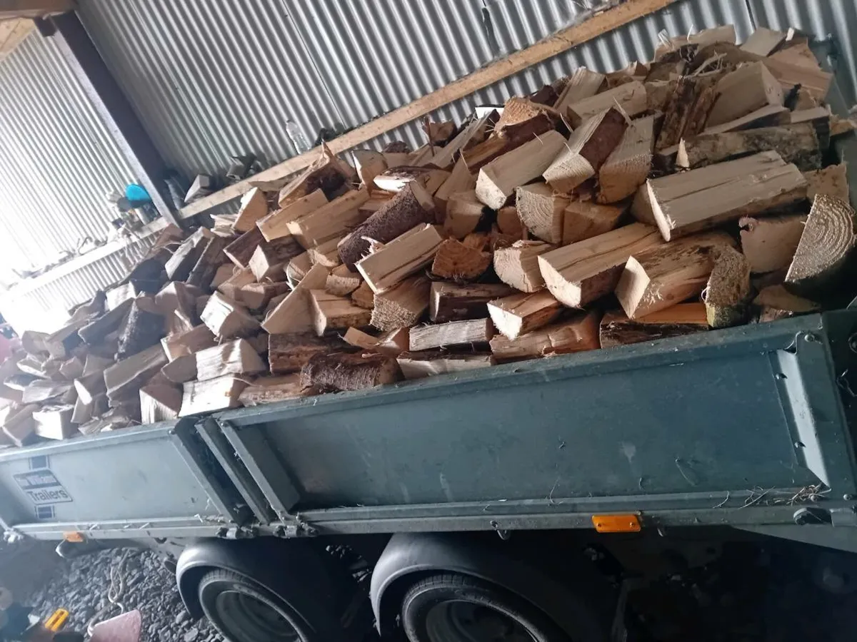 Firewood - Image 1