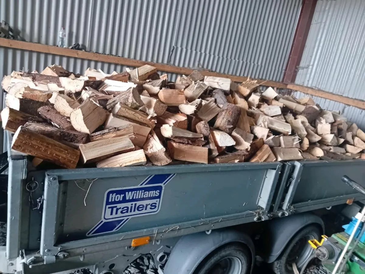 Firewood - Image 2