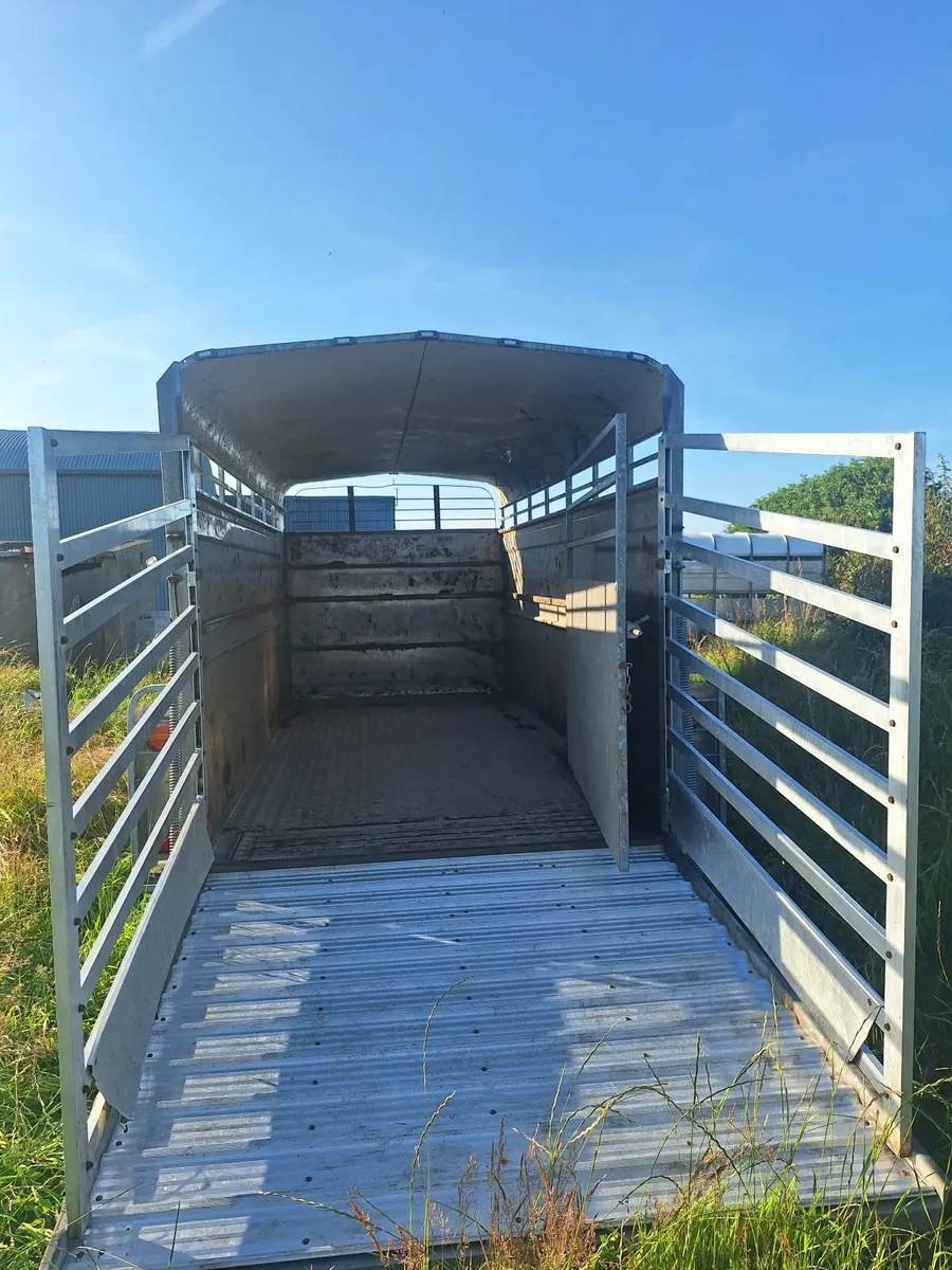 Hudosn 14 x 6 Cattle Trailer For Sale - Image 1