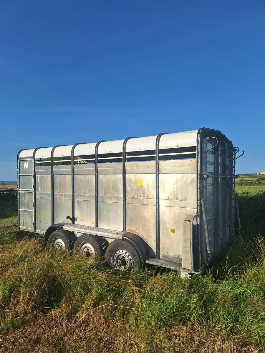 Hudosn 14 x 6 Cattle Trailer For Sale - Image 2