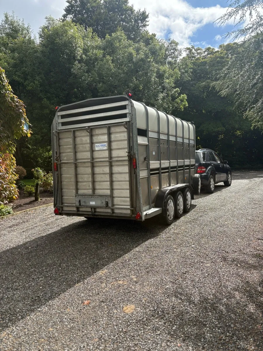 14ft high roof ifor Williams - Image 2