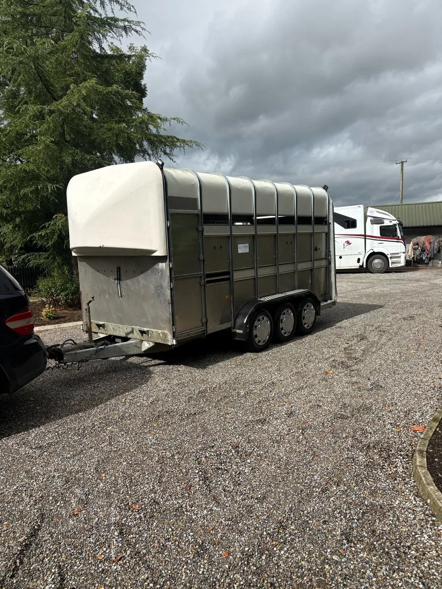 14ft high roof ifor Williams - Image 4
