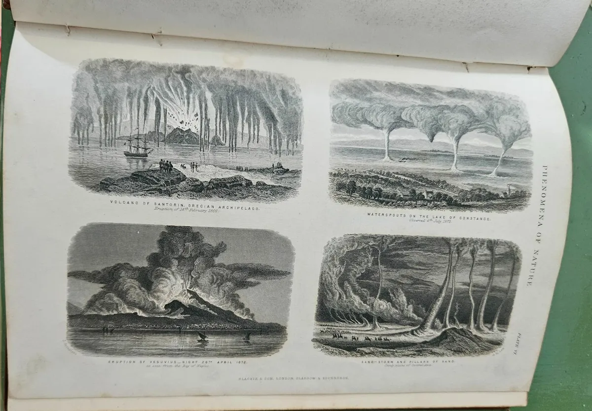 Goldsmiths Animated Nature Vol 2 History of Animal - Image 2