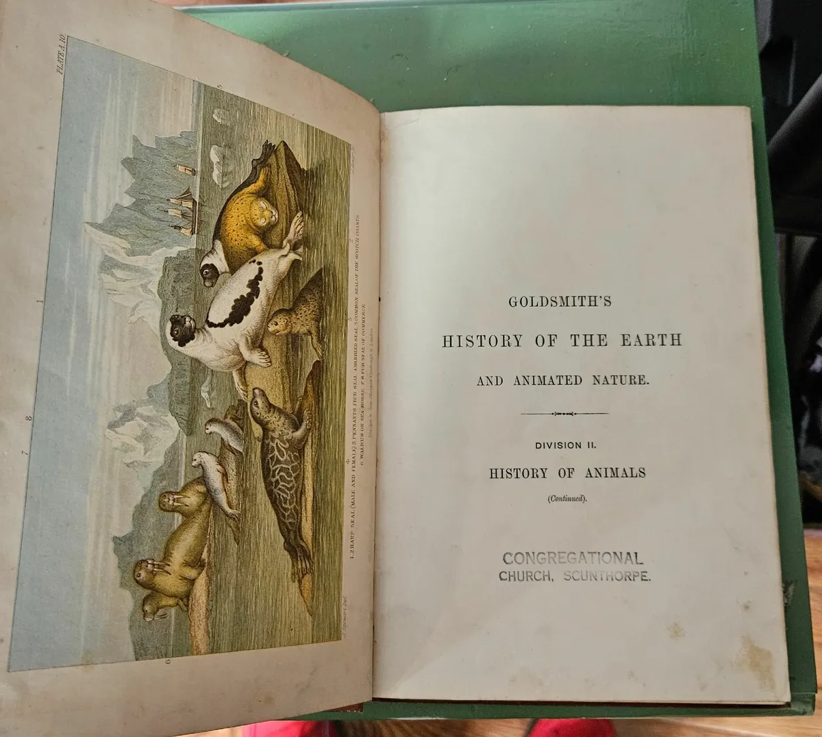 Goldsmiths Animated Nature Vol 2 History of Animal - Image 4