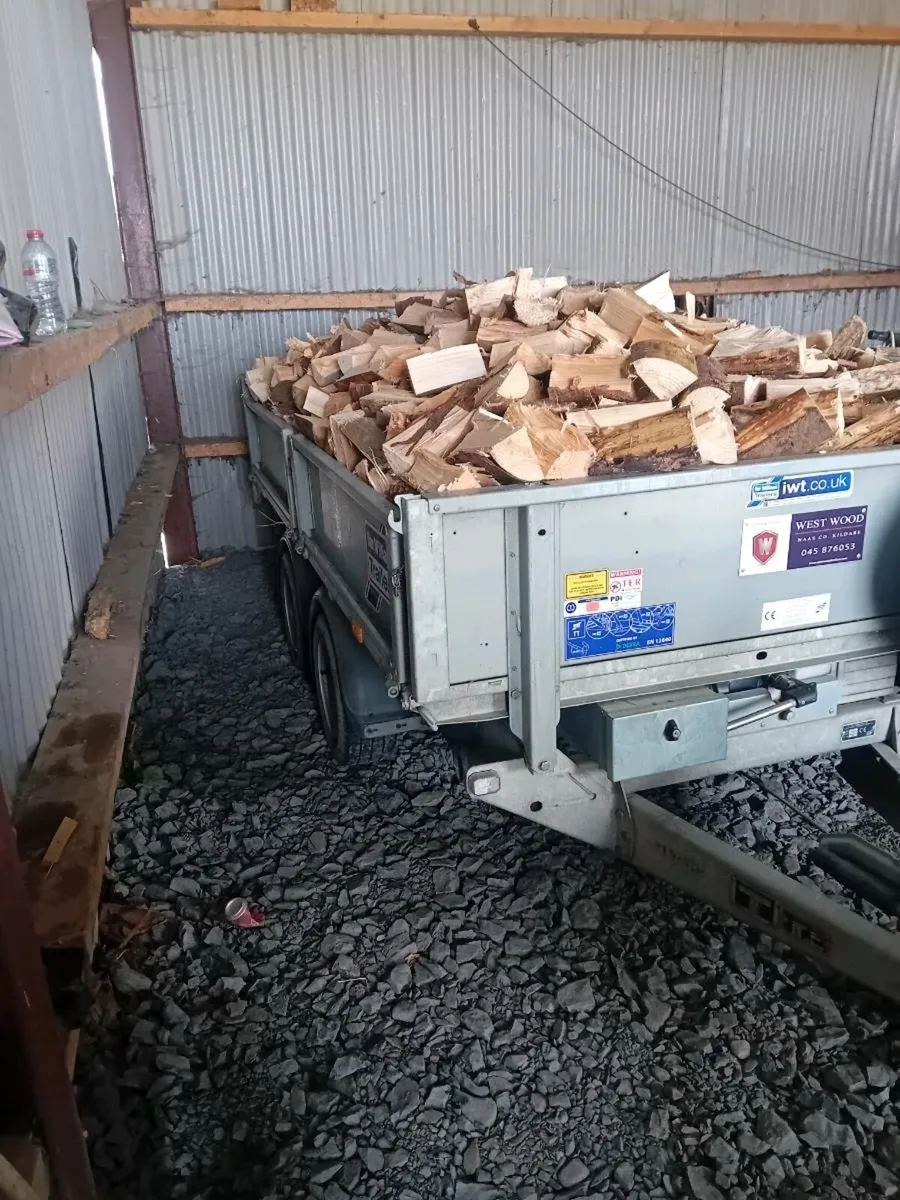 Firewood - Image 3