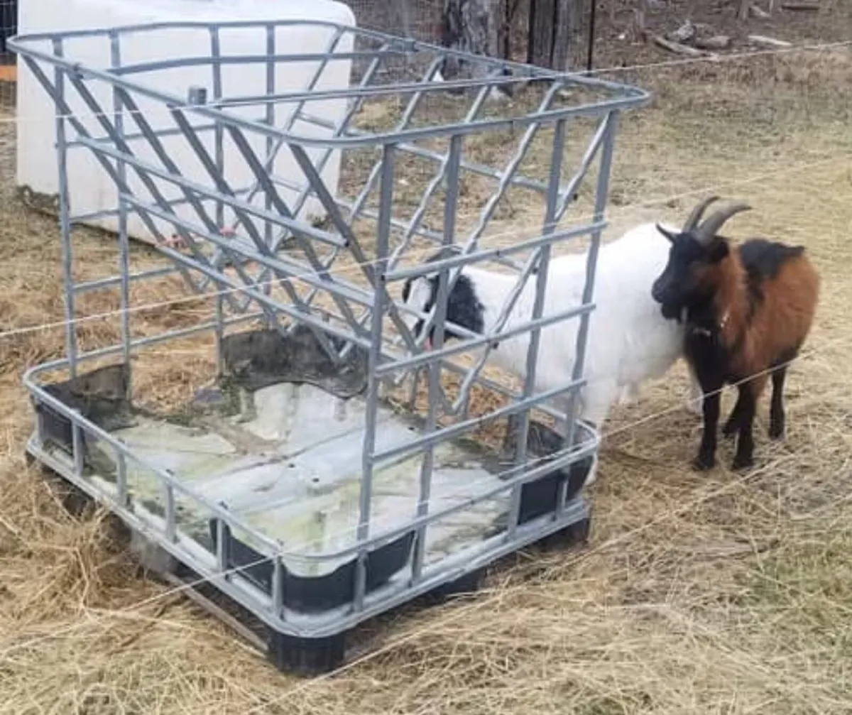 Hay feeders delivery countrywide sale 2 for 100