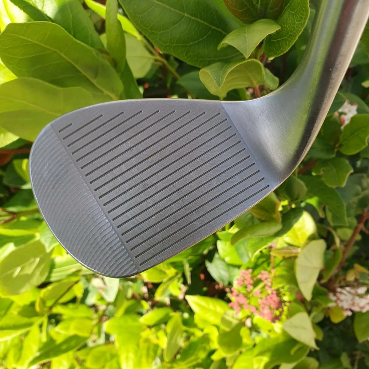 Newest rtz Cleveland wedge - Image 3