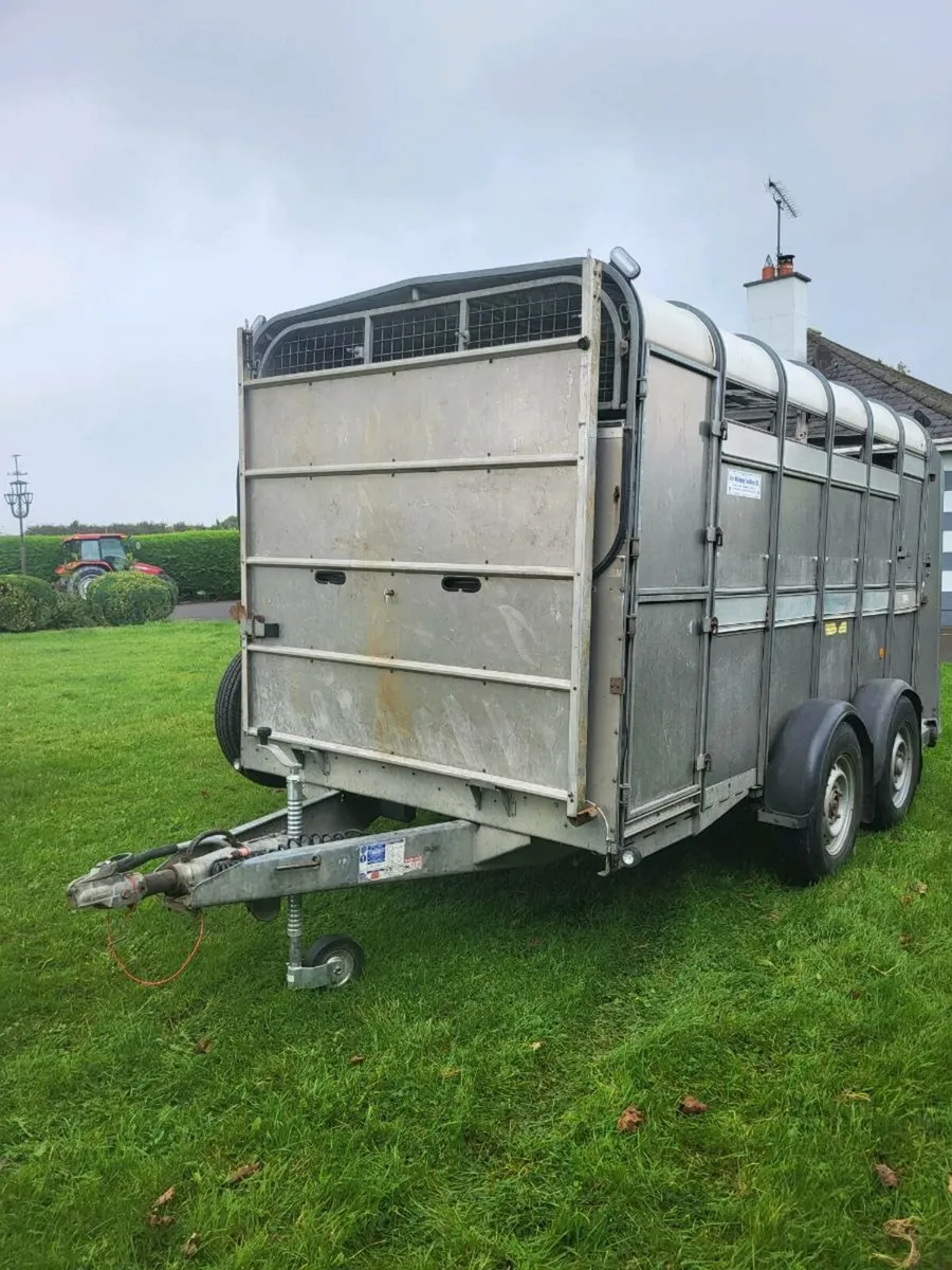 Ifor Williams 12×6 - Image 2