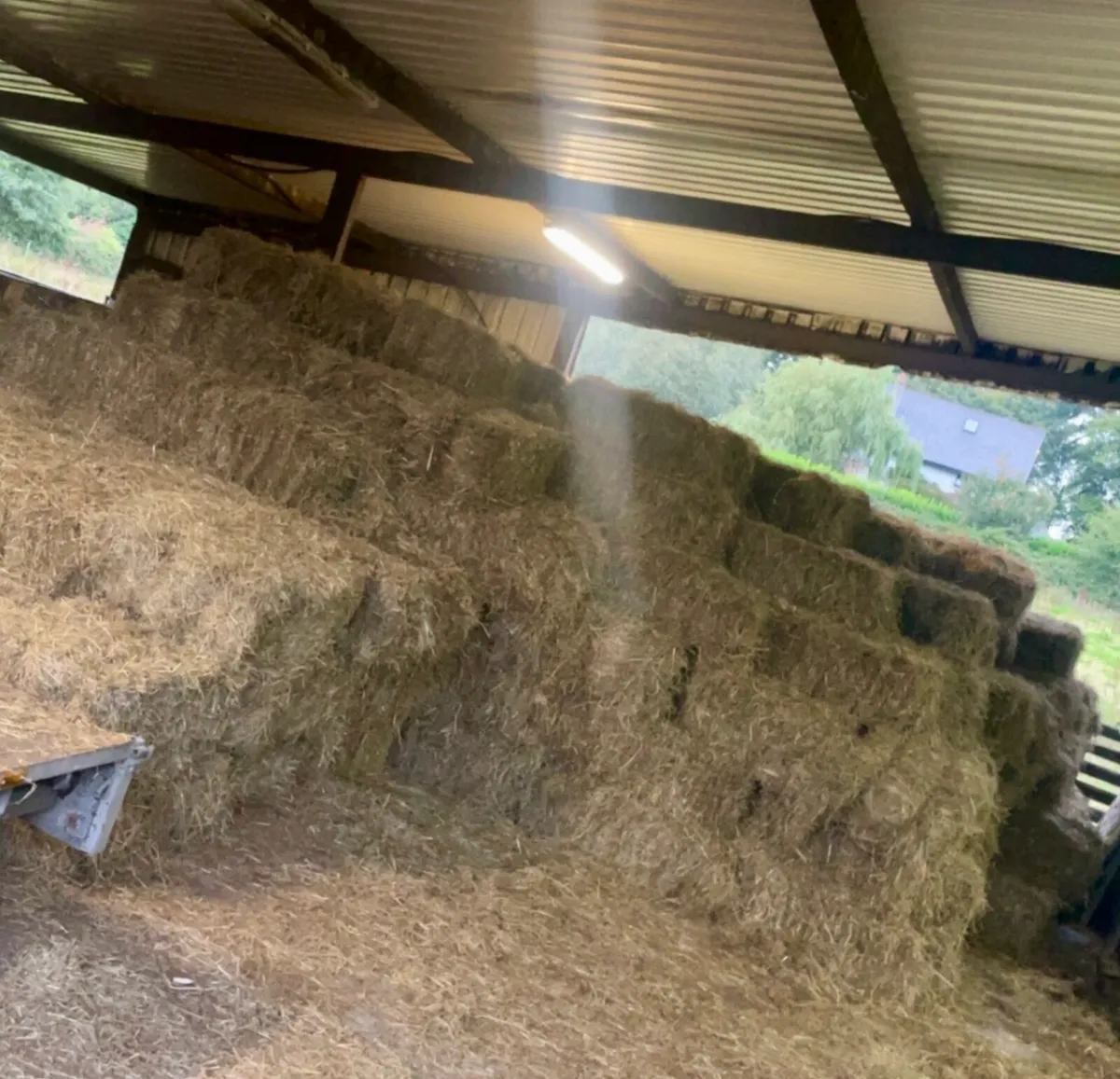 Small Square Hay Bales