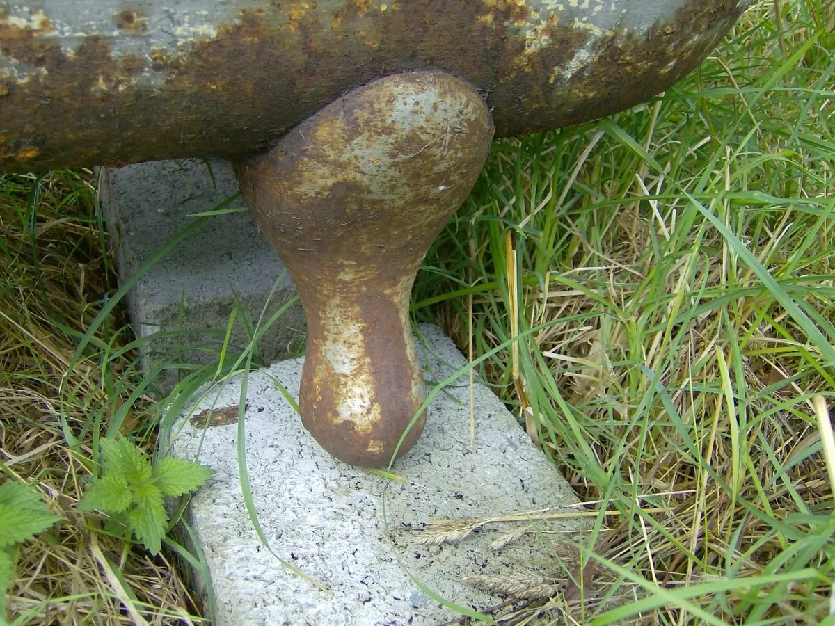 Cast iron bath - Image 1